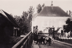 1924 - Le moulin vue du pont sans la maison actuelle mais une grange